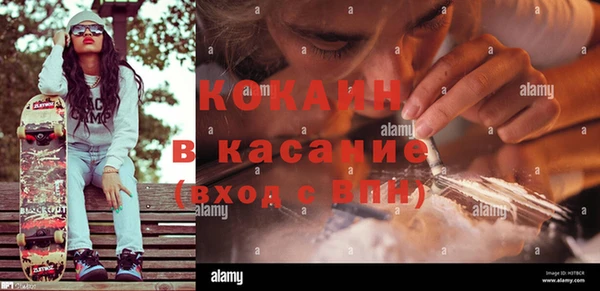 трава Слюдянка