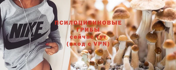 трава Слюдянка
